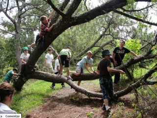  Fun encounters on the hikes 